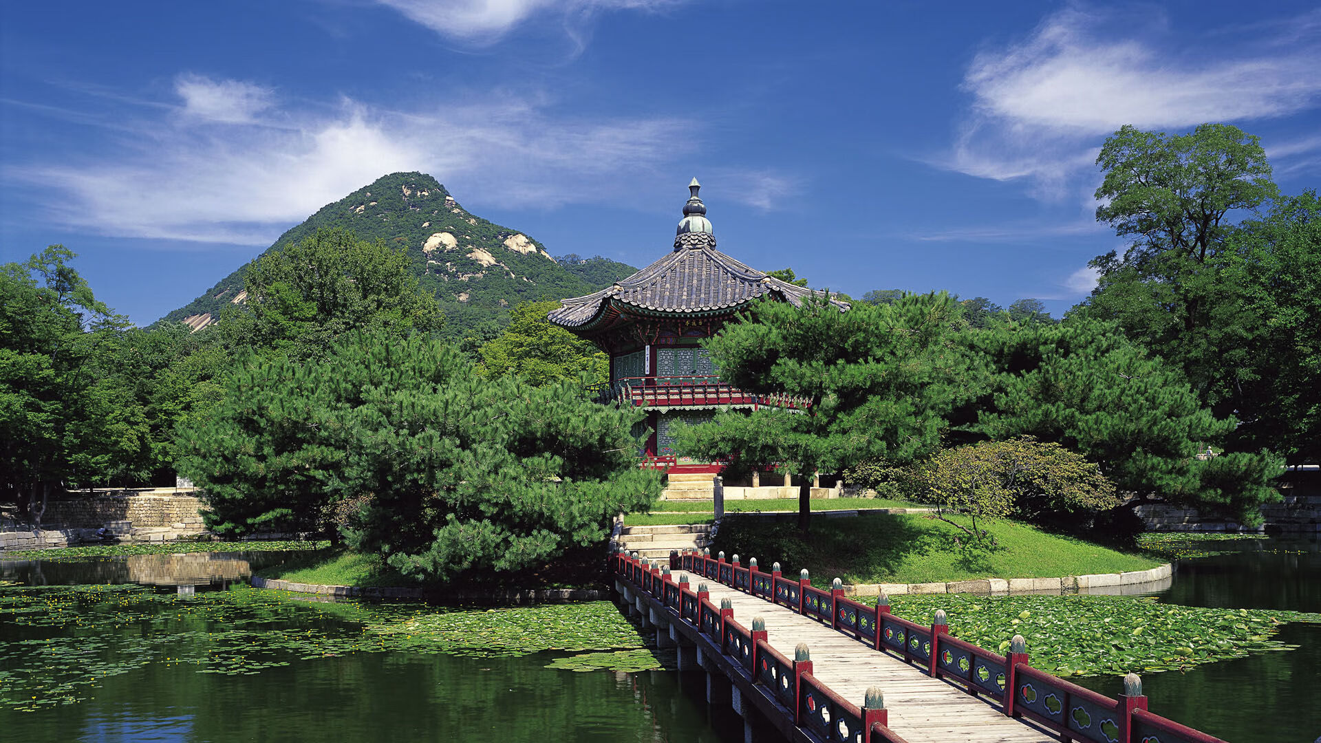 2026年中国攀岩锦标赛 速度赛全国纪录再被改写,2020年中国攀岩赛事