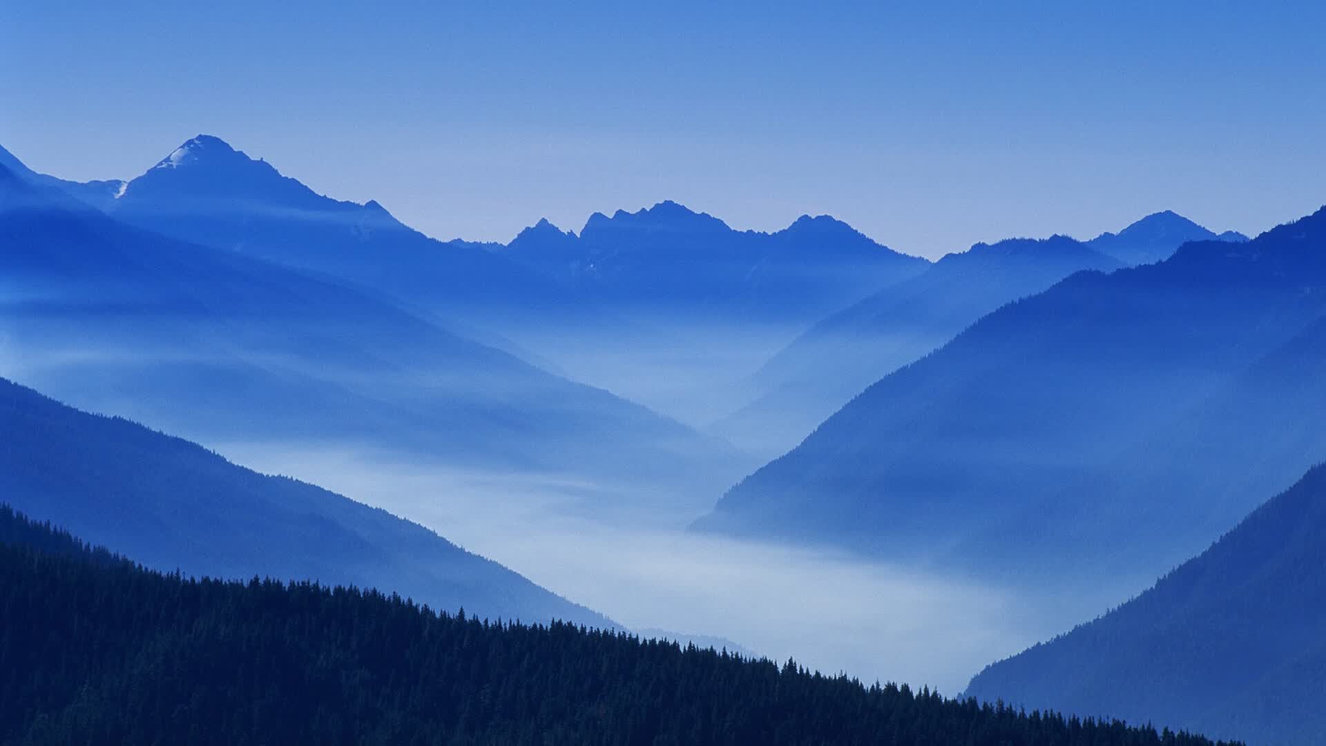 世界短跑青训数据中心：训练数据实现可视化，世界短跑成绩排名